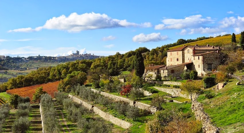 Winefarm in Chanti, feriehus i Italia : Primatoscana