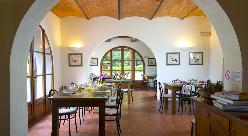 Agriturismo Badia, utleie i Italia : Primatoscana