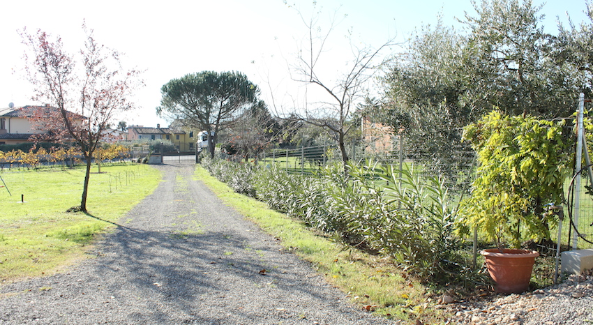 Villa Isabella, leie i Italia : Primatoscana