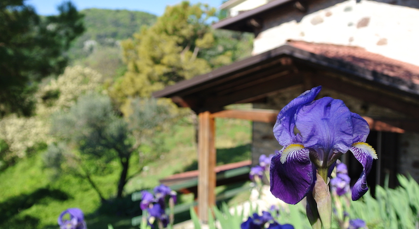 Residence Vacce, reise til Italia : Primatoscana