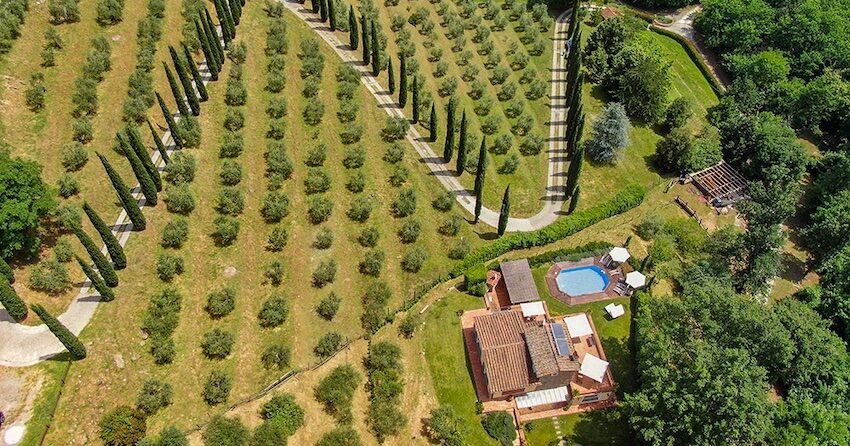 Podere la Quiete, feriehus i Italia : Primatoscana