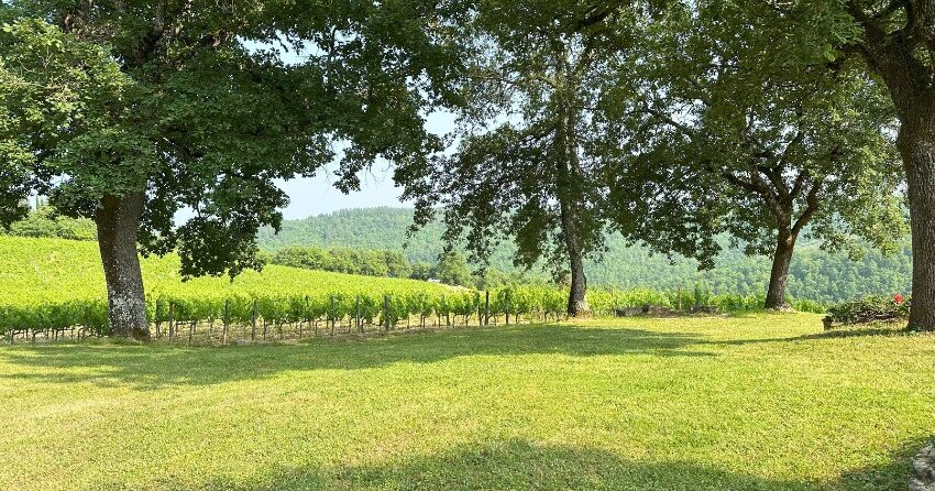 Colle Chianti, reise til Toscana : Primatoscana