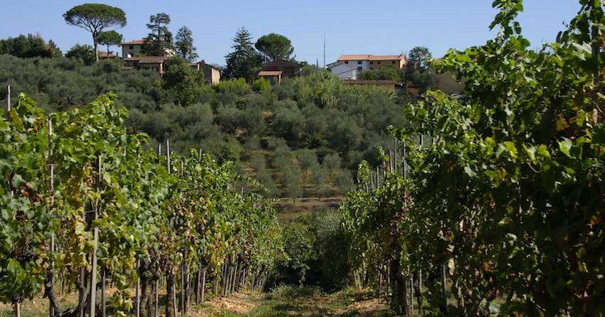 Villa Viola, utleie i Italia : Primatoscana