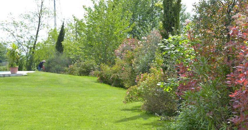 Villa Viola, utleie i Italia : Primatoscana