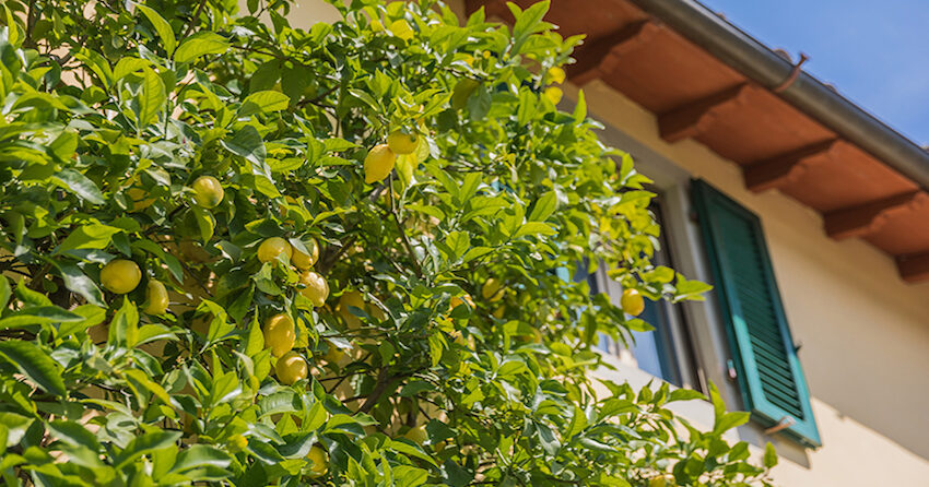 Villa Giacomo, feriehus i Italia : Primatoscana