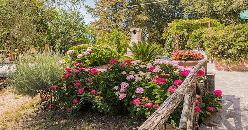 Villa Giacomo, feriehus i Italia : Primatoscana