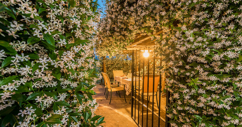 Villa Giacomo, feriehus i Italia : Primatoscana