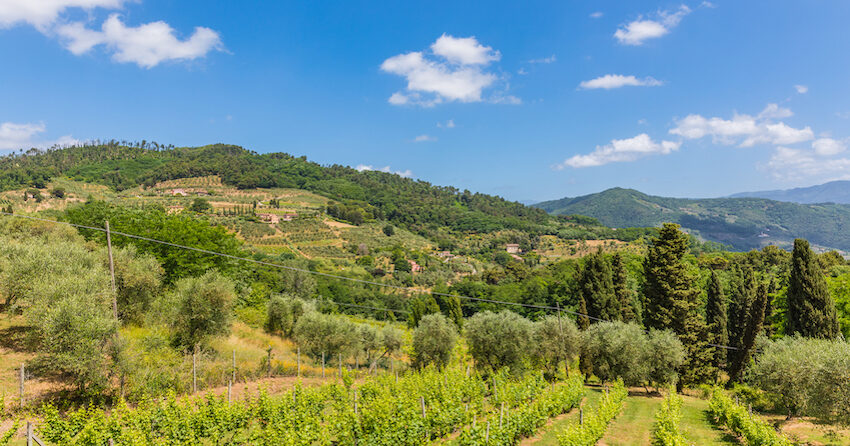 Villa Giacomo, feriehus i Italia : Primatoscana